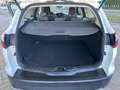 Ford Focus SW 1.6 tdci Plus 115cv - thumbnail 9