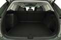 Volkswagen Tayron 1.5 TSI eHybrid 150 kW Life Life, Pano, HuD, AH... Grün - thumbnail 12
