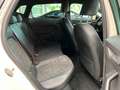 SEAT Ibiza FR Beats/VIRTUAL/KAMERA/18"/KESSY/DAB/APP Blanc - thumbnail 11