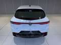 Alfa Romeo Tonale 1.6 DS Sprint FWD Wit - thumbnail 15