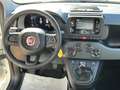 Fiat Panda 1.0 firefly hybrid Bianco - thumbnail 14