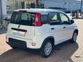 Fiat Panda 1.0 firefly hybrid Bianco - thumbnail 6