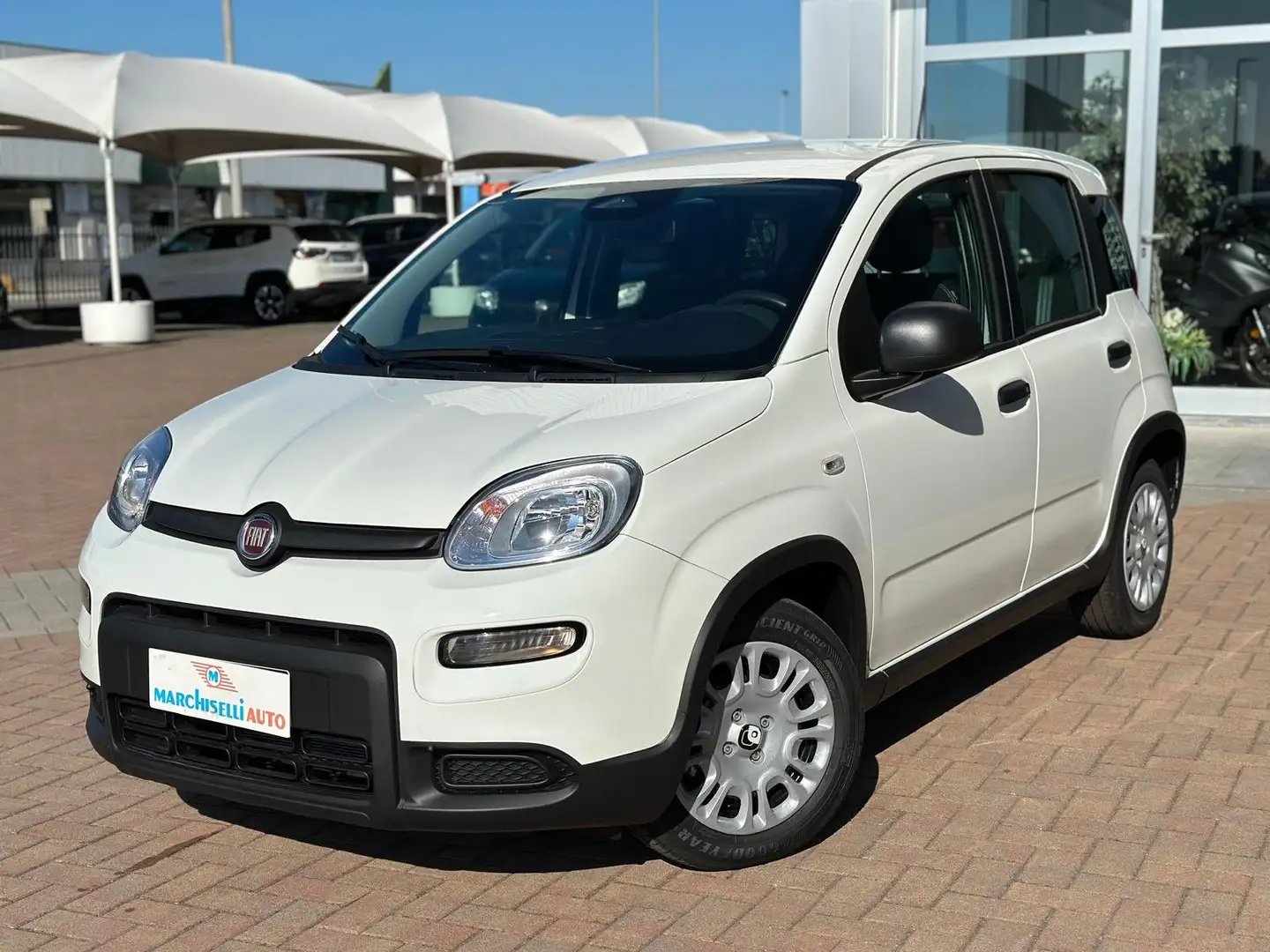 Fiat Panda 1.0 firefly hybrid Bianco - 2