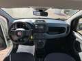 Fiat Panda 1.0 firefly hybrid Bianco - thumbnail 13