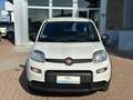 Fiat Panda 1.0 firefly hybrid Bianco - thumbnail 3
