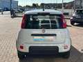 Fiat Panda 1.0 firefly hybrid Bianco - thumbnail 7