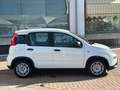 Fiat Panda 1.0 firefly hybrid Bianco - thumbnail 5