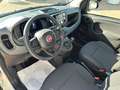 Fiat Panda 1.0 firefly hybrid Bianco - thumbnail 10
