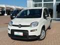 Fiat Panda 1.0 firefly hybrid Bianco - thumbnail 1