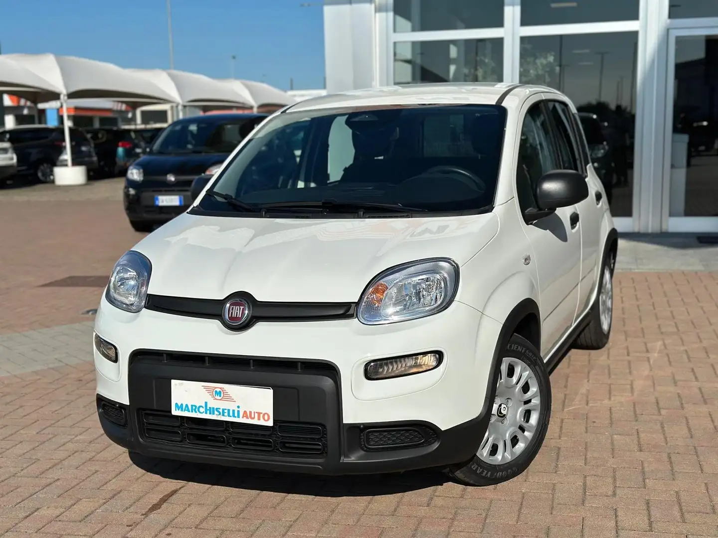 Fiat Panda 1.0 firefly hybrid Bianco - 1