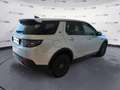 Land Rover Discovery Sport I 2020 Diesel 2.0d td4 mhev SE awd 163cv auto Argent - thumbnail 5