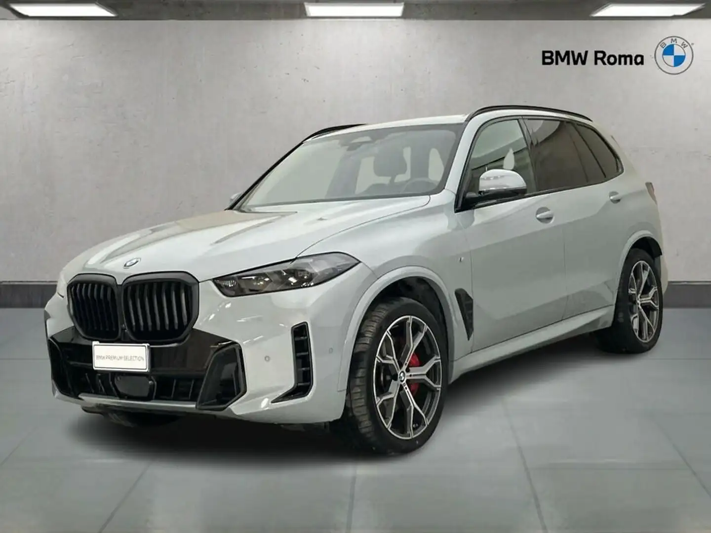 BMW X5 xdrive30d Msport auto Gris - 1