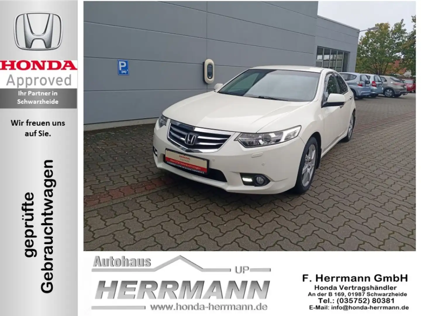Honda Accord 2.0 Elegance Advantage Weiß - 1
