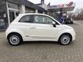 Fiat 500 1.2 Naked. Met glazen Panoramadak, airco en recent Blanc - thumbnail 7
