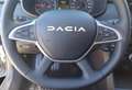 Dacia Sandero Sandero Stepway 1.0 tce Extreme Eco-g 100cv Grigio - thumbnail 14