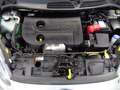 Ford Fiesta Fiesta 5p 1.5 tdci 75cv  OK PER NEOPATENTATI Argento - thumbnail 12