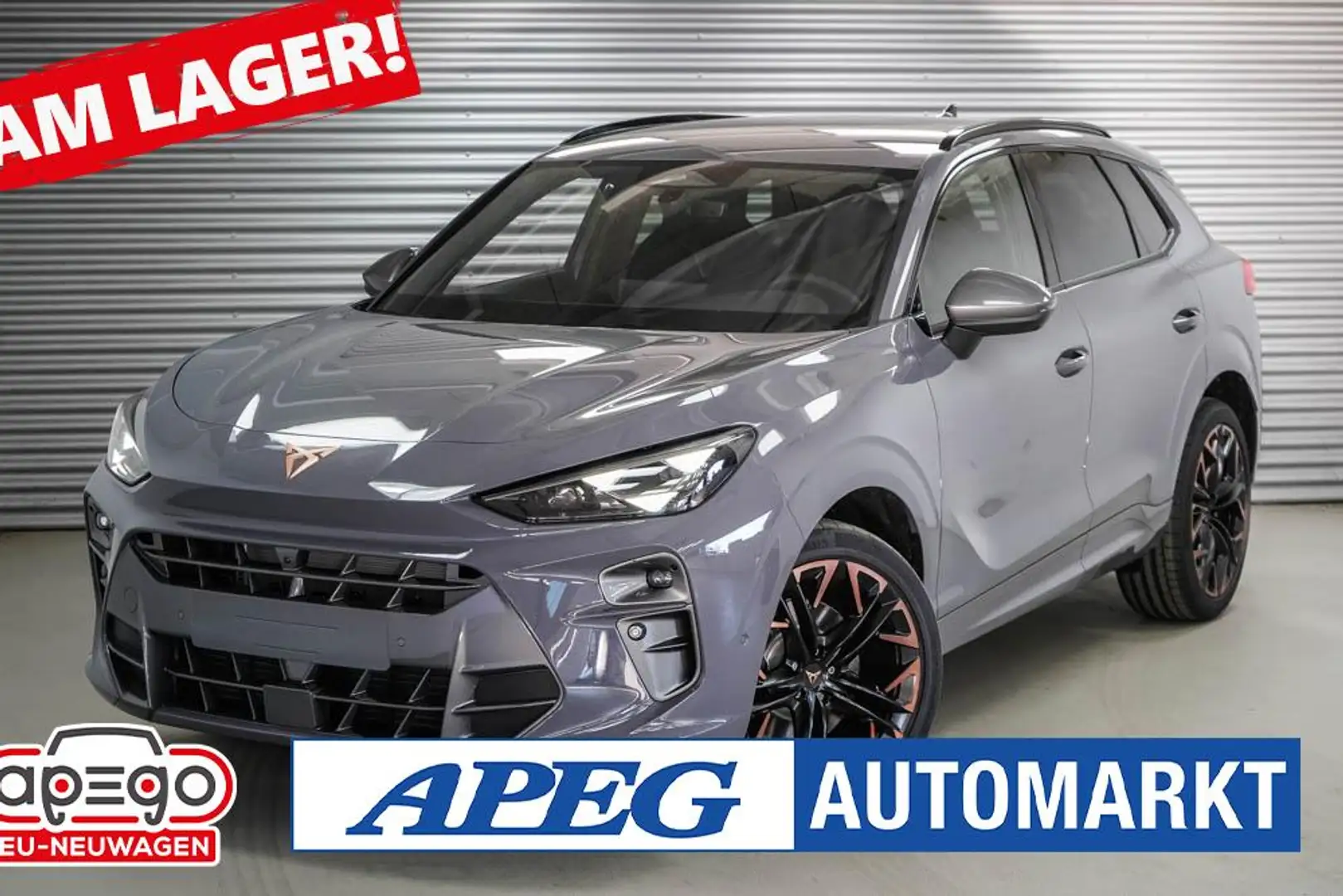 CUPRA Terramar 2,0 TSI DSG 4Drive VZ Grau - 1