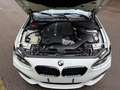 BMW 135 M135i Bílá - thumbnail 12