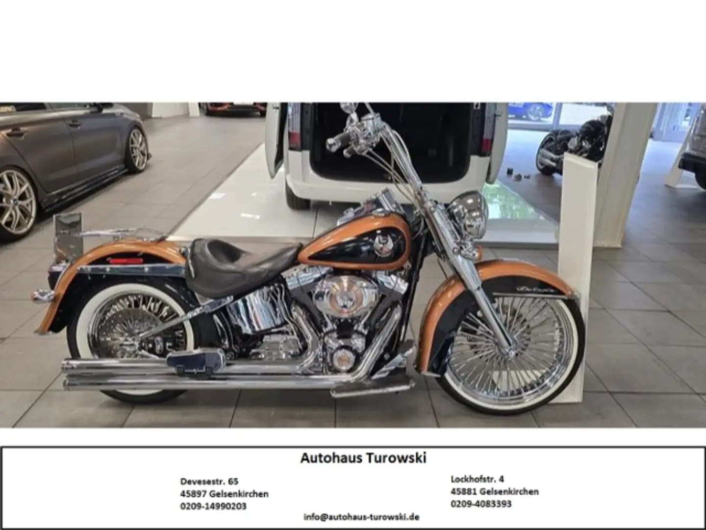 Harley-Davidson Softail Deluxe Mexican style Chicano Zlatá - 1