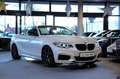 BMW 240 xDrive (F23) *Bi-Xenon*HiFi*Memory*LHZ*SHZ Weiß - thumbnail 5