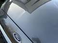 Ford S-Max S-MAX Titanium Pano Navi kamera Garantie Grey - thumbnail 31