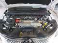 Renault Scenic 220 grande autonomie *ACC*LED*CarPlay*SHZG*PDC*CAM Wit - thumbnail 26