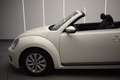 Volkswagen Beetle Cabrio 1.6TDI Design 105 Blanco - thumbnail 6