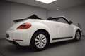 Volkswagen Beetle Cabrio 1.6TDI Design 105 Blanco - thumbnail 2