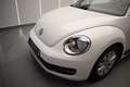 Volkswagen Beetle Cabrio 1.6TDI Design 105 Blanco - thumbnail 5