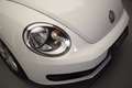 Volkswagen Beetle Cabrio 1.6TDI Design 105 Blanco - thumbnail 45