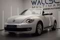 Volkswagen Beetle Cabrio 1.6TDI Design 105 Blanco - thumbnail 3