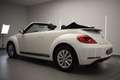 Volkswagen Beetle Cabrio 1.6TDI Design 105 Blanco - thumbnail 9