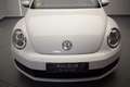 Volkswagen Beetle Cabrio 1.6TDI Design 105 Blanco - thumbnail 4