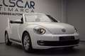Volkswagen Beetle Cabrio 1.6TDI Design 105 Blanco - thumbnail 8