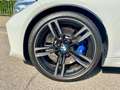BMW M2 Coupe 3.0 Competition 410cv dkg Bianco - thumbnail 6