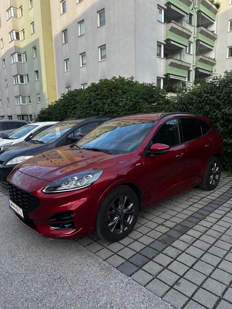 Ford Kuga 2,0 EcoBlue Hybrid ST-Line X - 2