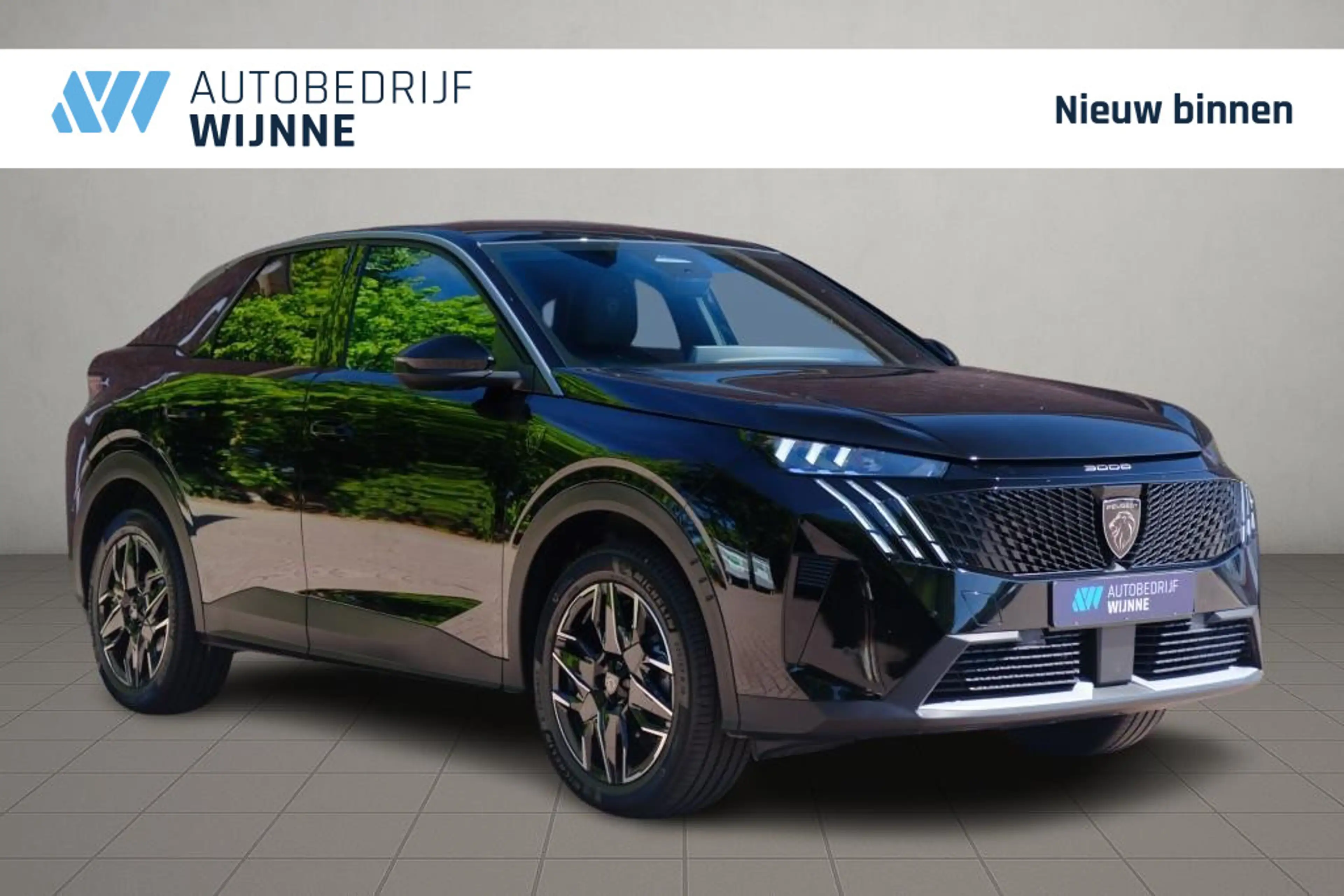Peugeot 3008 1.2 Hybrid 145pk e-DCS6 GT | Navi | App Connect |
