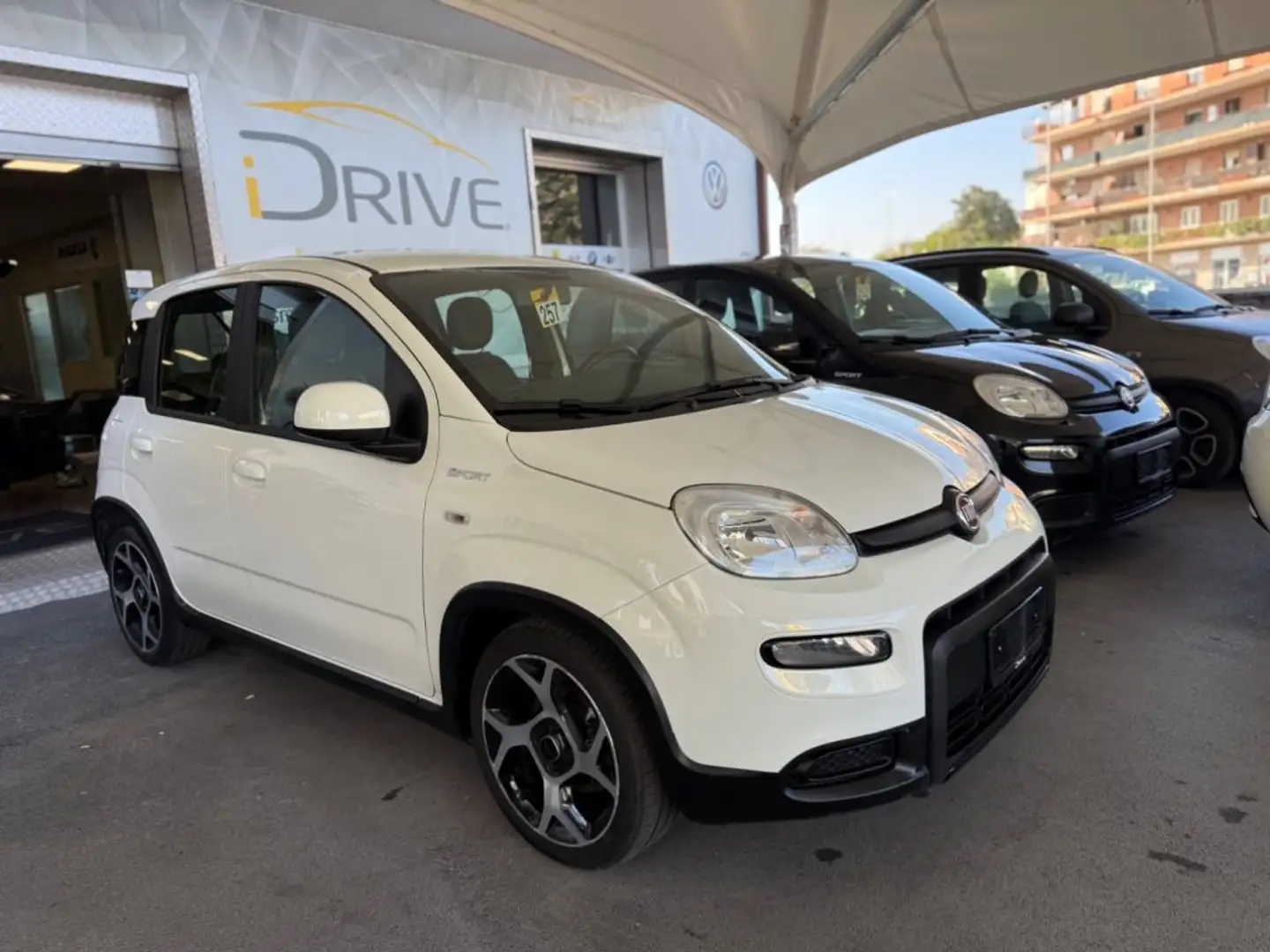 Fiat Panda 1.0 FireFly S&S Hybrid  "SPORT" White - 1