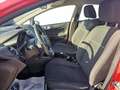 Ford Fiesta Plus 1.5 TDCi 75CV 5 porte Rosso - thumbnail 5