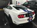Ford Mustang SHELBY GT350  PRECIO FINAL!! Weiß - thumbnail 5