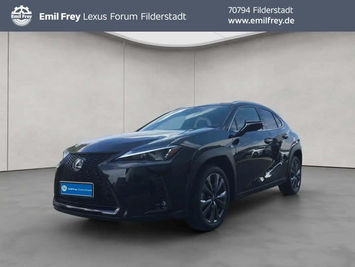 Lexus 300h F-Sport Design Noir - 1
