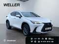 Lexus NX 350h Executive Line *Bi-LED*360°*el Sitze*SHZ* Weiß - thumbnail 4