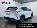 Lexus NX 350h Executive Line *Bi-LED*360°*el Sitze*SHZ* Weiß - thumbnail 19