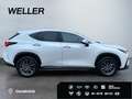 Lexus NX 350h Executive Line *Bi-LED*360°*el Sitze*SHZ* Blanc - thumbnail 10