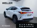 Lexus NX 350h Executive Line *Bi-LED*360°*el Sitze*SHZ* Blanc - thumbnail 7
