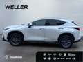 Lexus NX 350h Executive Line *Bi-LED*360°*el Sitze*SHZ* Blanc - thumbnail 5