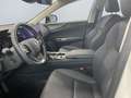 Lexus NX 350h Executive Line *Bi-LED*360°*el Sitze*SHZ* Weiß - thumbnail 9