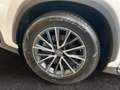 Lexus NX 350h Executive Line *Bi-LED*360°*el Sitze*SHZ* Blanc - thumbnail 22