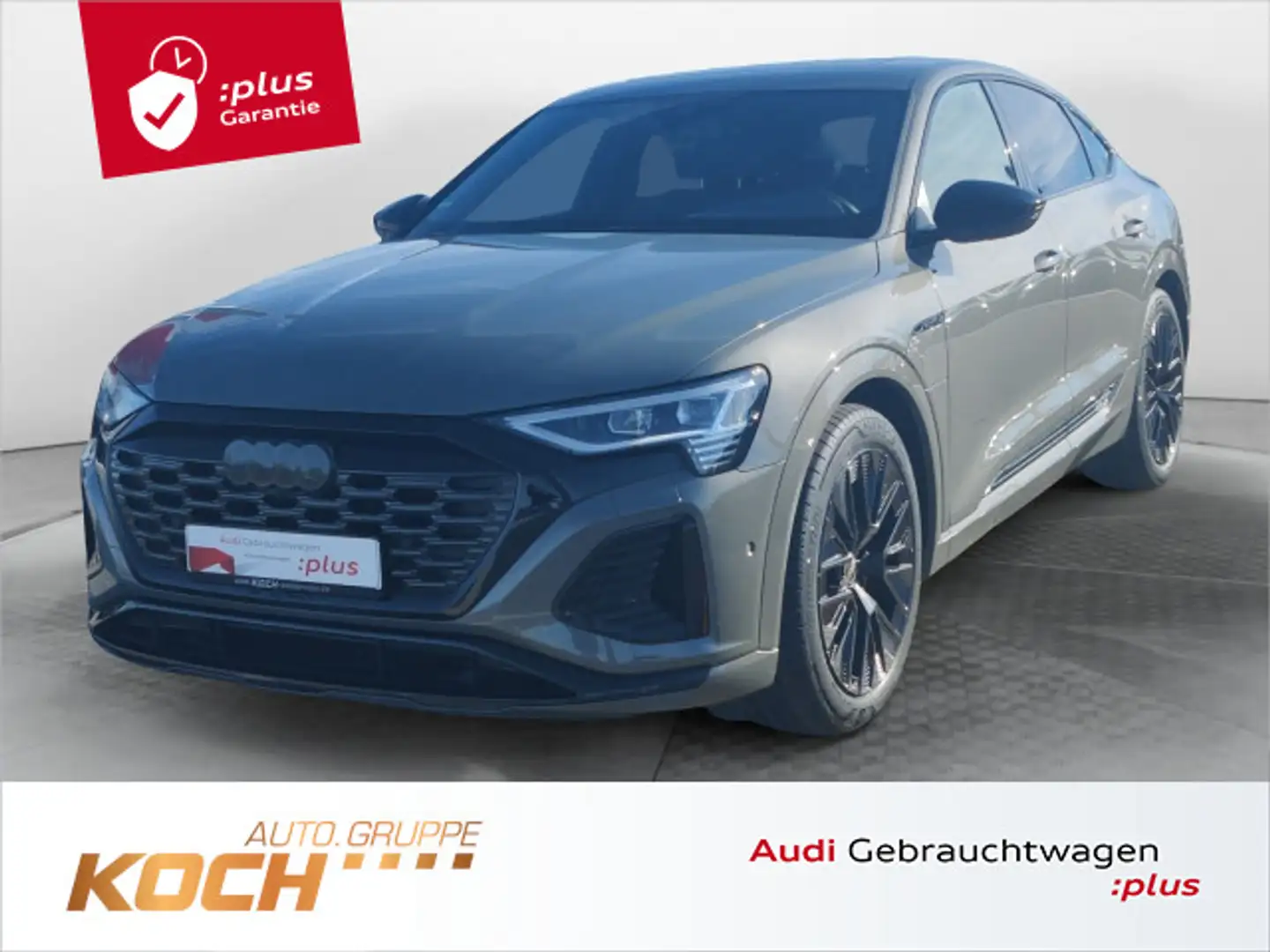 Audi Q8 e-tron 55 quattro S-Line 2x, Matrix Grau - 1