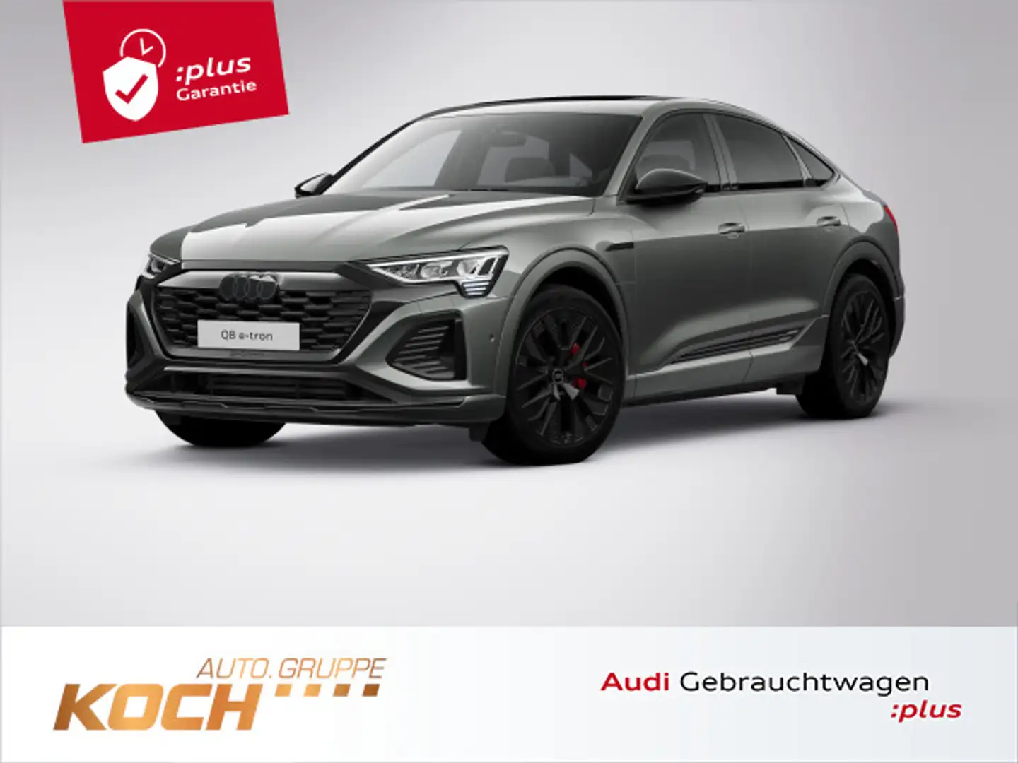 Audi Q8 e-tron 55 quattro S-Line 2x, Matrix Grau - 1